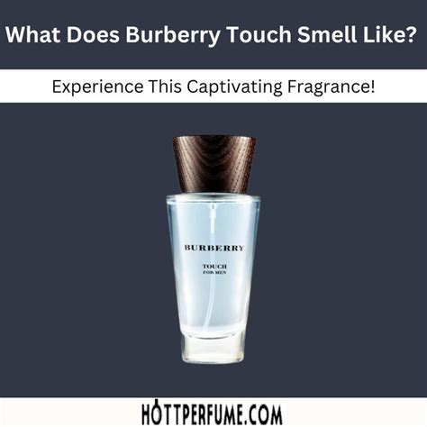 does burberry perfume last long|what does burberry smell like.